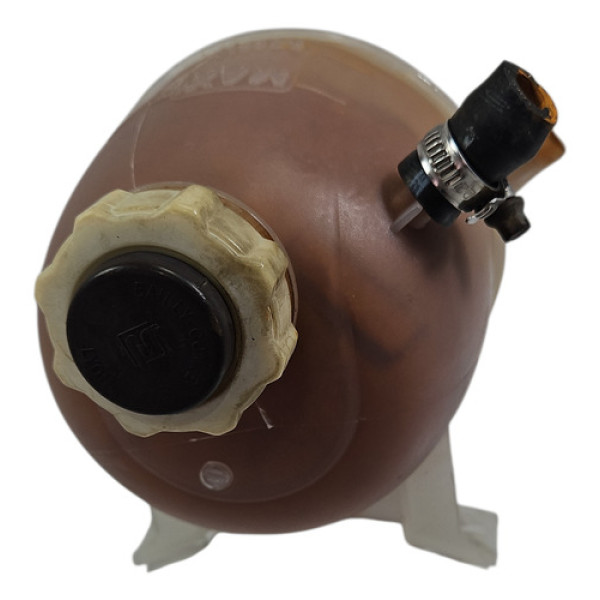 Reservatório Água Renault Megane 00