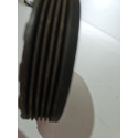 Polia Virabrequim Renault Scenic 2.0 16v