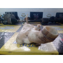 Reservatorio Gasolina Renault Megane 09 Flex 8200565243 Usad