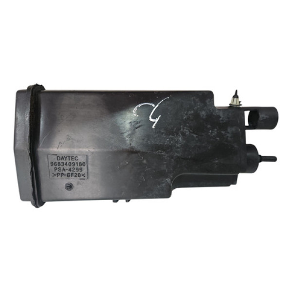Filtro Canister Citroën C4 Pallas 2010
