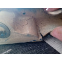 Friso Tampa Traseira Chevrolet Corsa 96/02 Usado Original