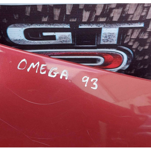 Capô Gm Omega 1993/1997 Original