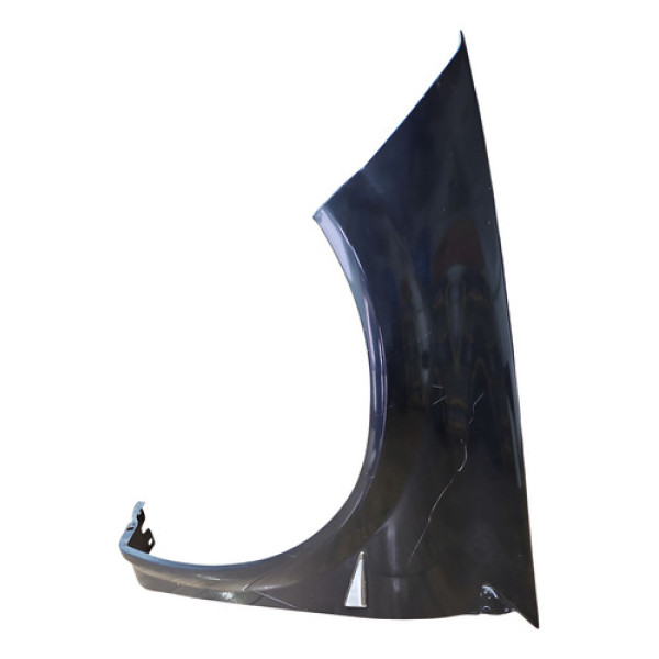 Paralama Lado Esquerdo Renault Megane 2.0 07/12