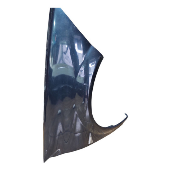 Paralama Lado Direito Renault Megane 2.0 07/12