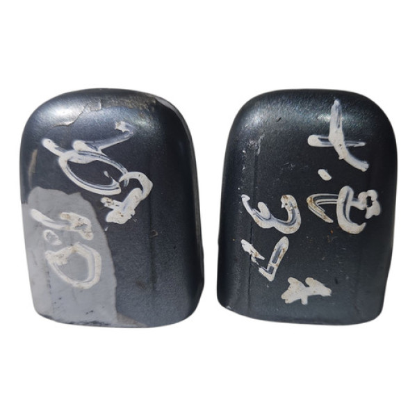 Capa Maçaneta Externa Peugeot 307 2005