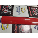 Friso Porta Dianteira Direita Peugeot 207 4portas 9625100477