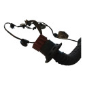 Chicote Porta Traseira Direita Renault Sandero 242267791r