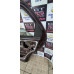 Porta Fiat Palio 2001 Traseira  Direita  Traseira Direito Marrom
