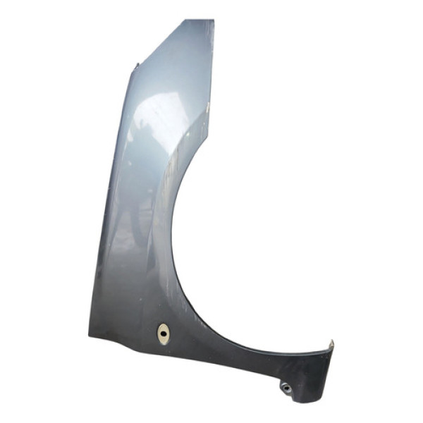 Paralama Direito Peugeot 307 2005