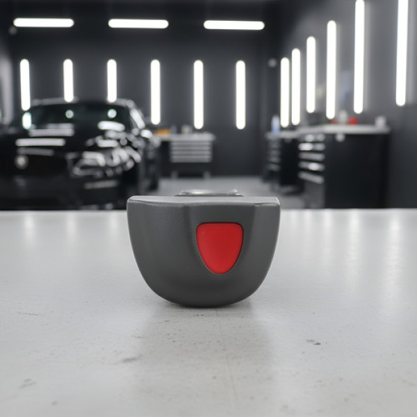 Botao Pisca Alerta Renault Scenic 03/08